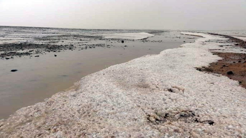 اتفاقية التبادل الحر