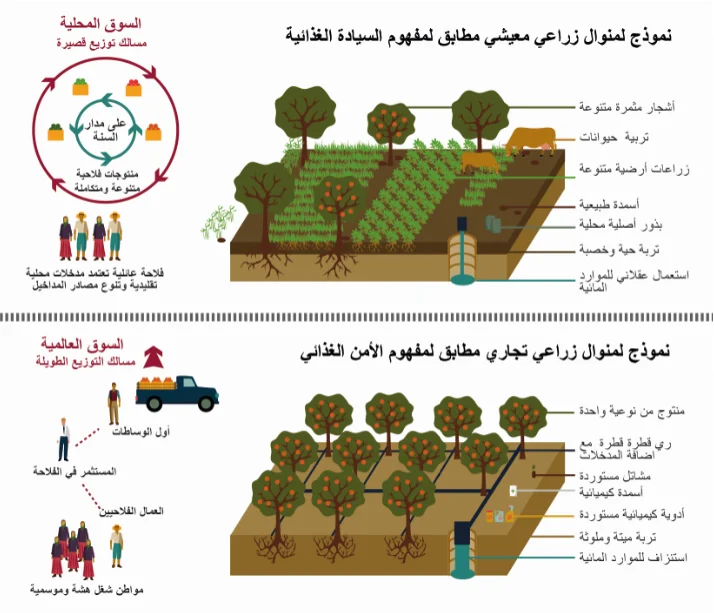 الفرق بين السيادة الغذائية والأمن الغذائي