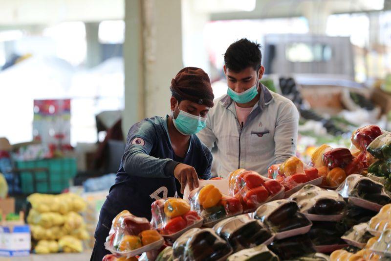 كيف ينتج البشر الغذاء والوباء