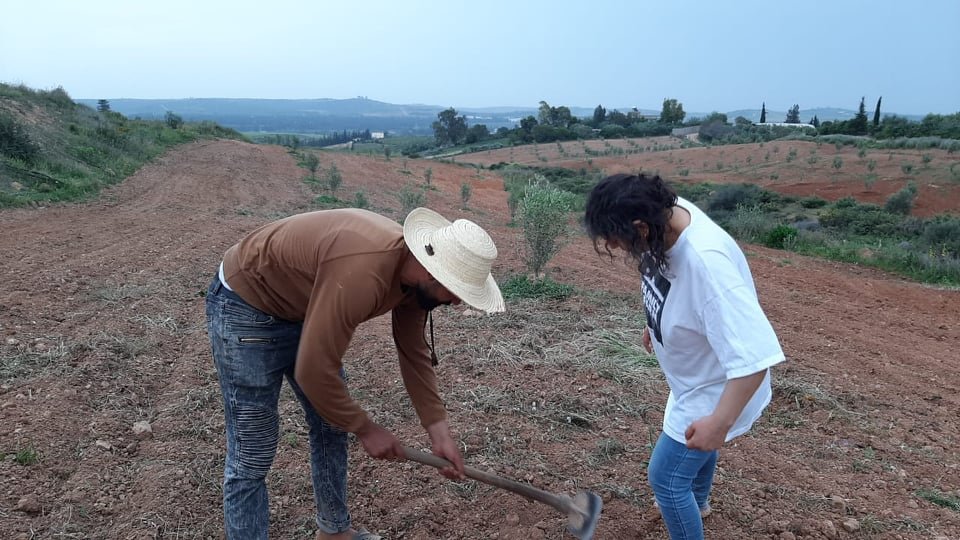 تركية الشايبي 