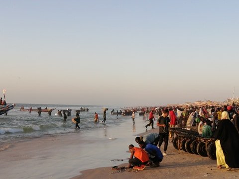 حوار تركية الشايبي