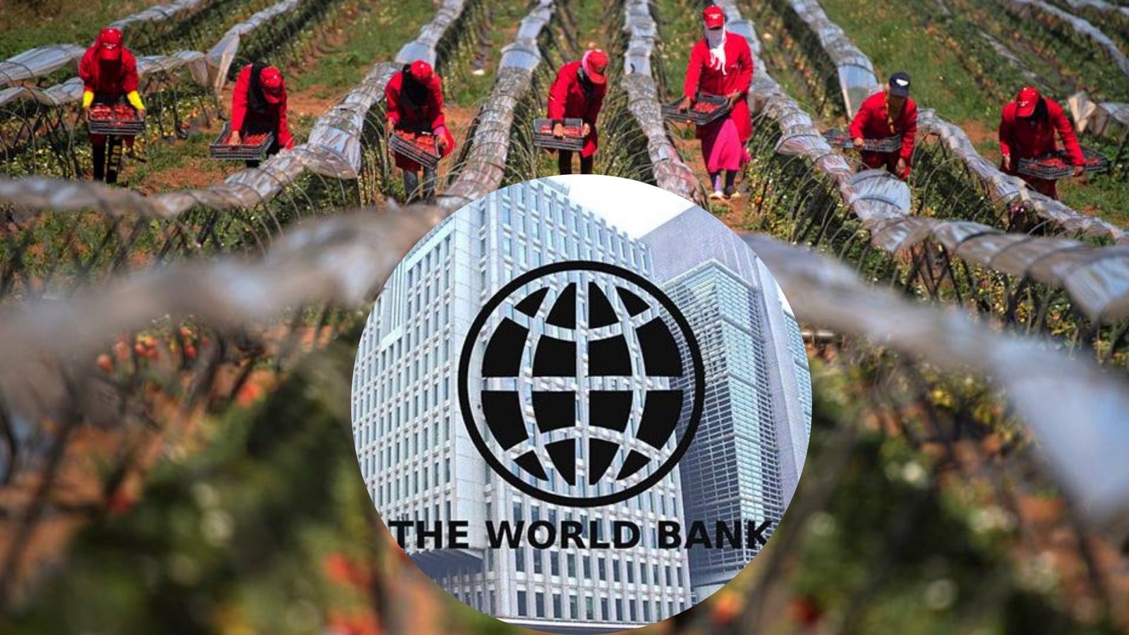 البنك العالمي