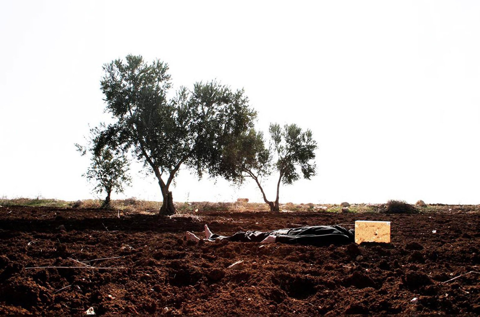 سياسات الاستيلاء على الأرض