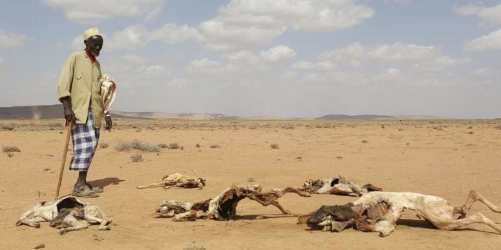 المجاعة في أفريقيا