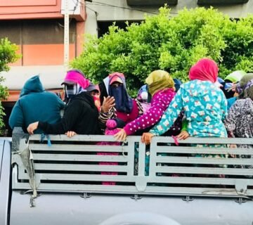 ارتفاع الصادرات الفلاحية