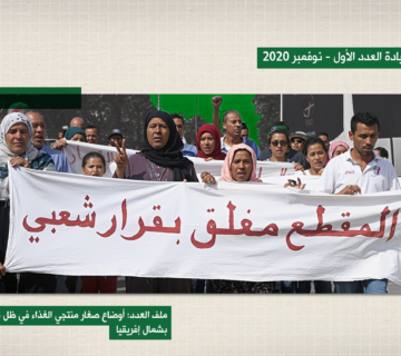 قرية الهوايديّة بتونس