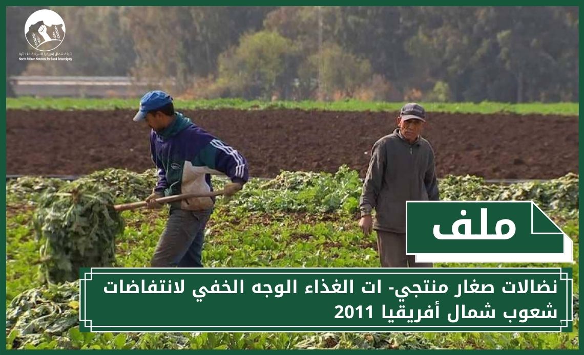 الانتفاضات في تونس