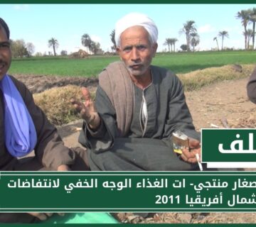 الفلاحون في مصر