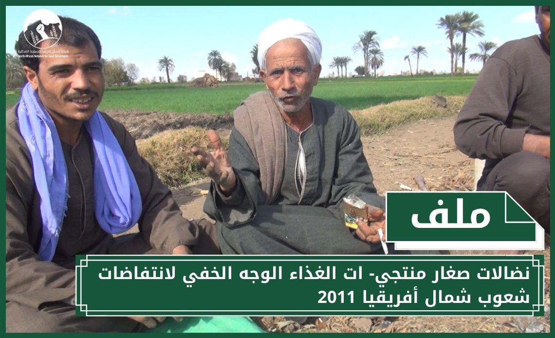 الفلاحون في مصر