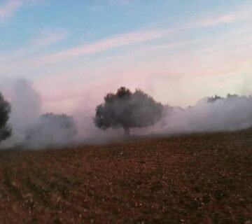 قرية أولاد جاب الله