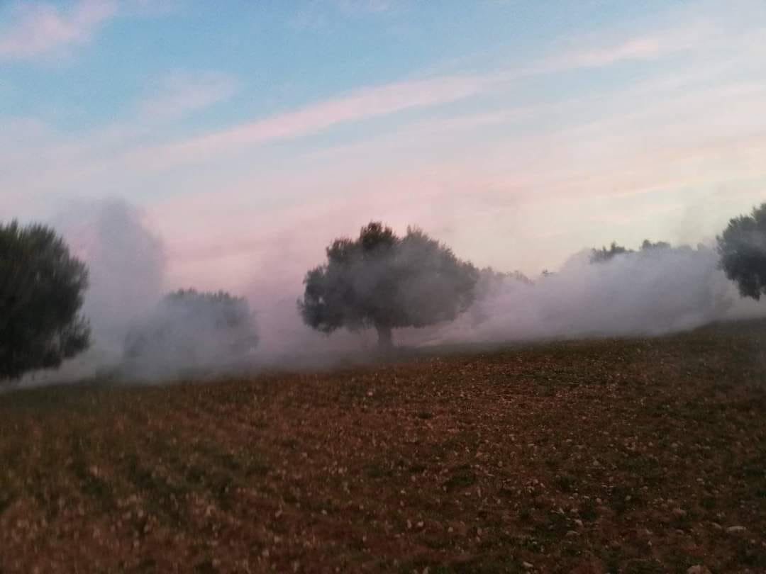 قرية أولاد جاب الله