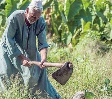 الإصلاح الزراعي في مصر