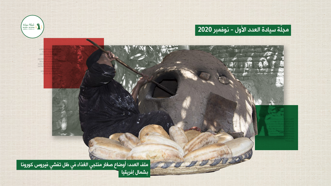 دراسة مصر