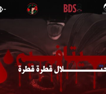 نيتافيم