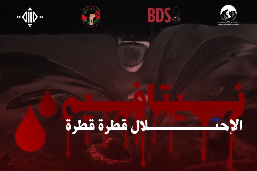 نيتافيم