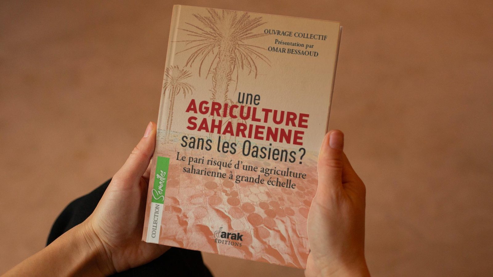 الزراعة الصحراوية دون الواحيين