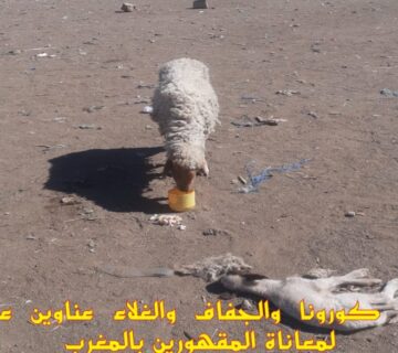 جائحة كورونا