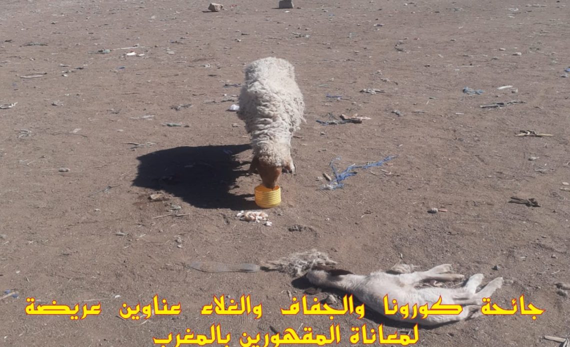 جائحة كورونا