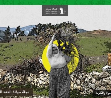 الاستيلاء على الأراضي