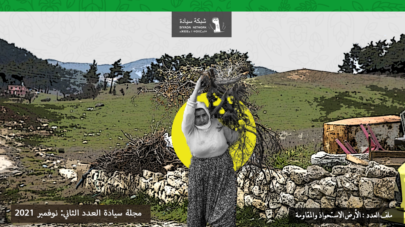 الاستيلاء على الأراضي