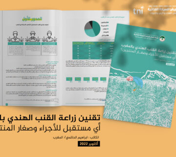 القنب الهندي