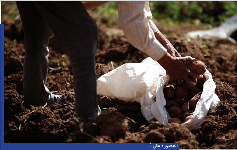 العدالة المناخية والسيادة الغذائية