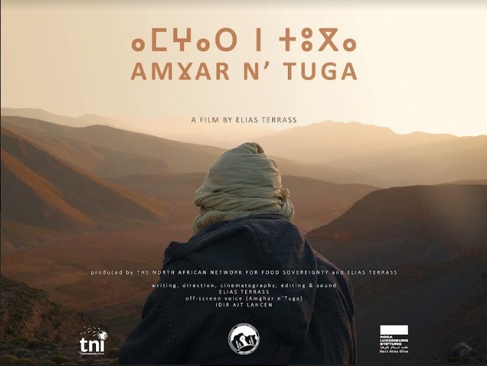 شيخ المراعي