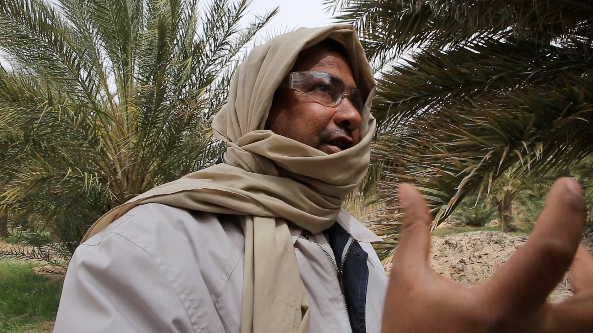 واحة جمنــة