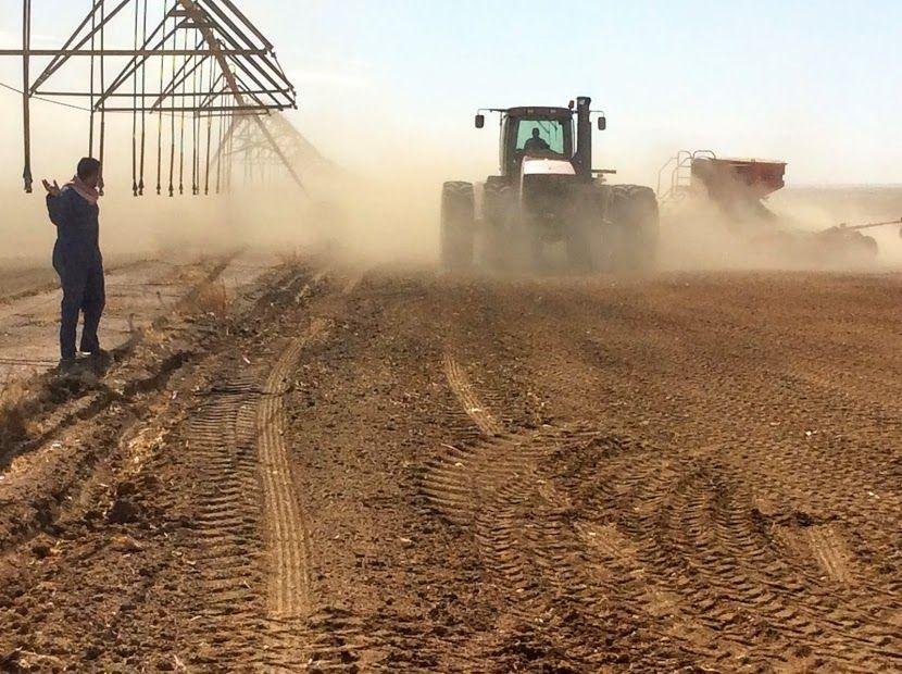 أمن دول الخليج الغذائي