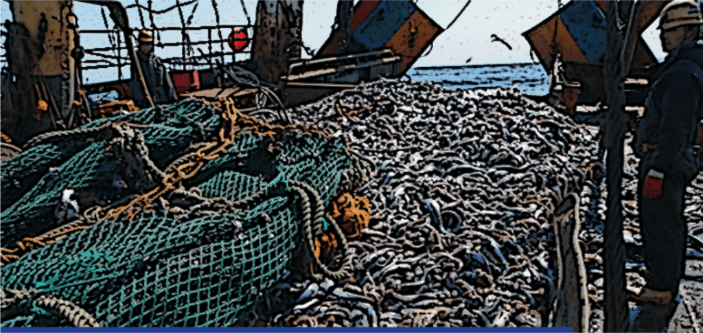 سياسة الصيد البحري