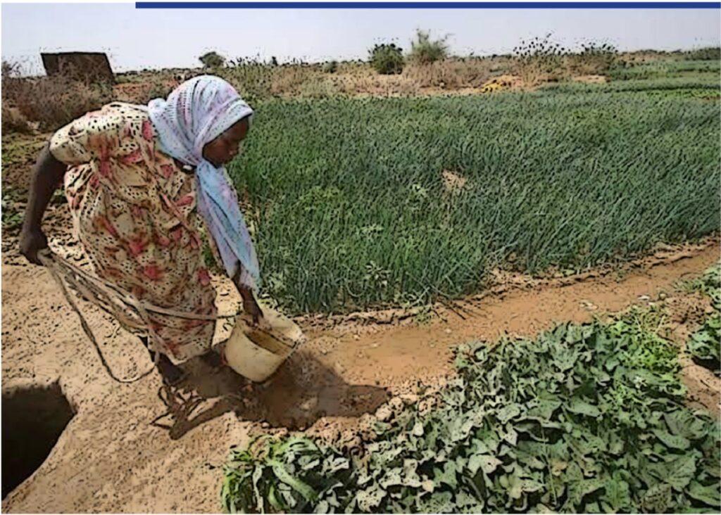 المزارعات في السودان