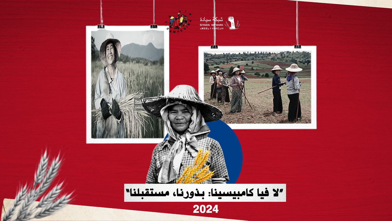 تتبادل البذور بين المزارعات