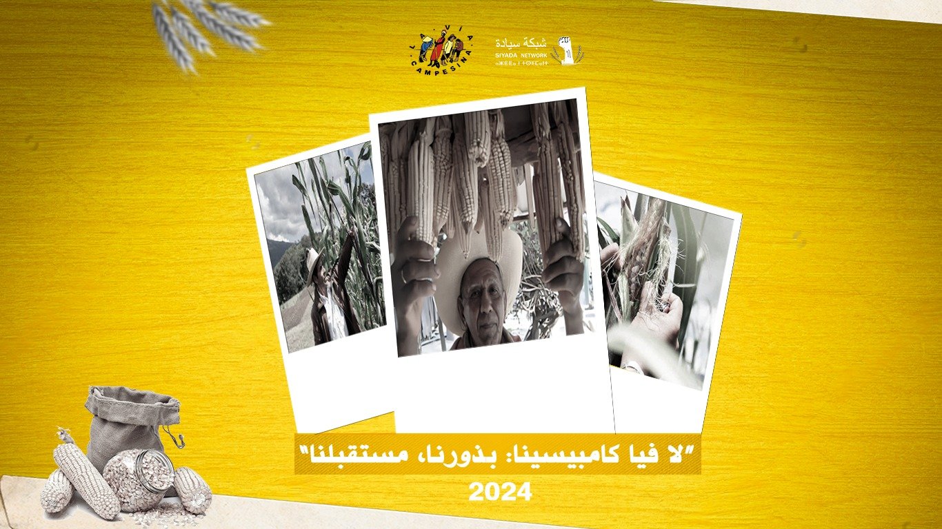 الدفاع عن الذرة في بوريبيتشا