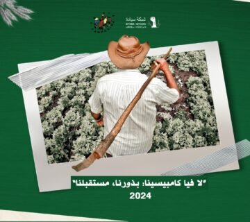 إنتاج البذور الفلاحية في جنوب البرازيل