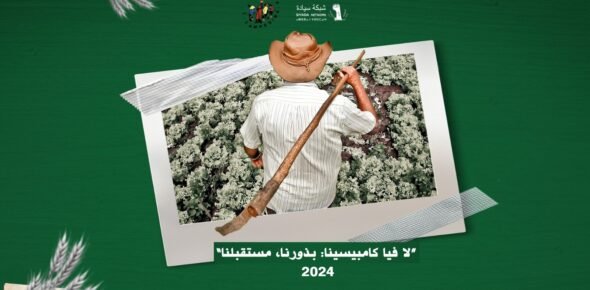 إنتاج البذور الفلاحية في جنوب البرازيل