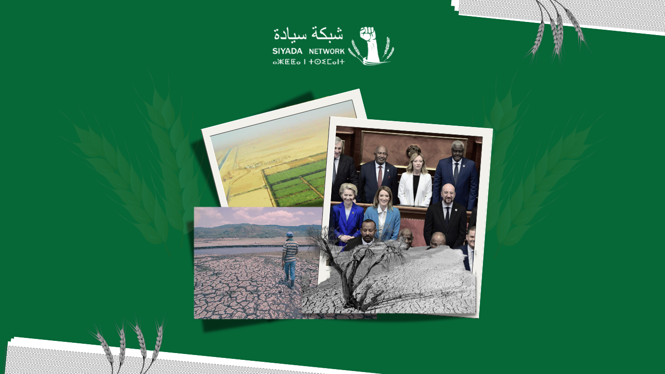 الزراعة الكبرى في شمال إفريقيا