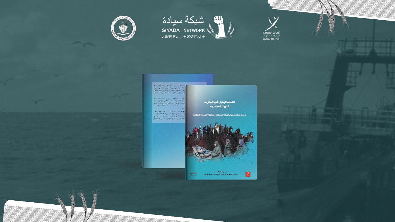 دراسة الصيد البحري