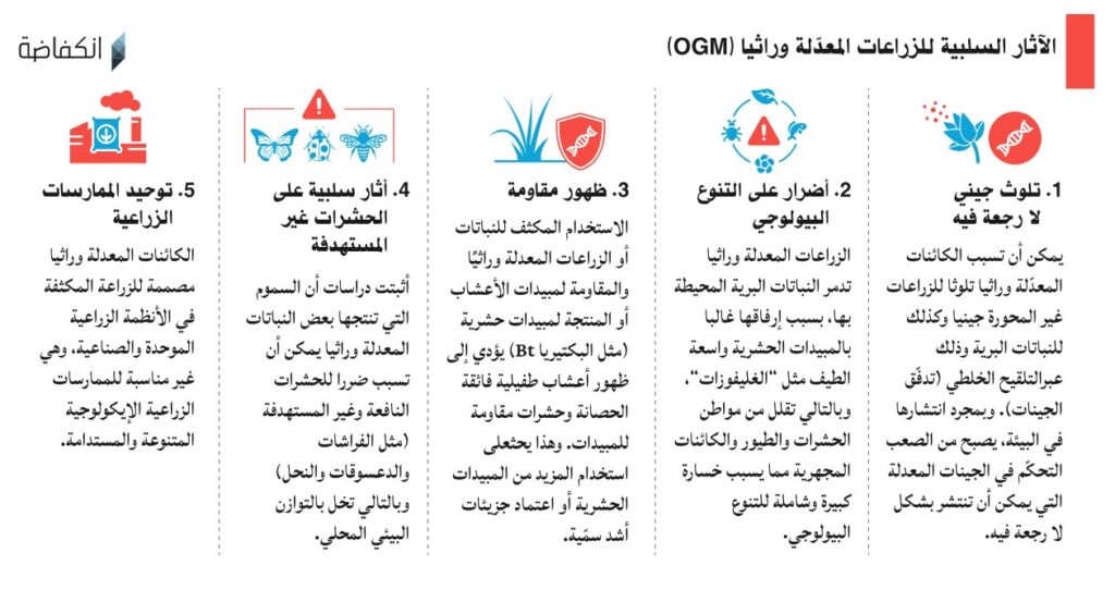 آثار الزراعات المعدلة وراثيا