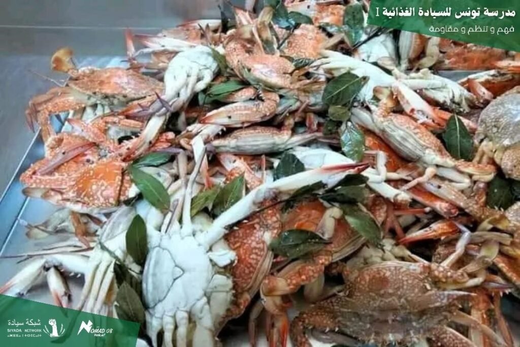 من زيارة شبكة سيادة لمجمع الصيد