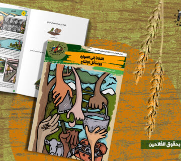 النفاذ إلى الموارد ووسائل الإنتاج