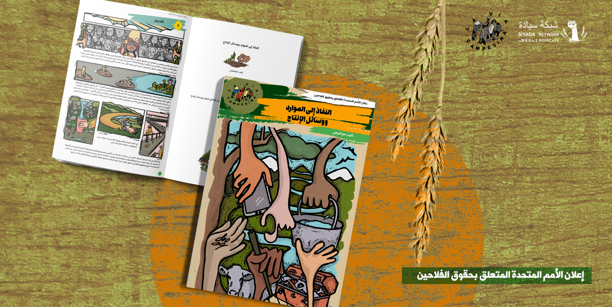 النفاذ إلى الموارد ووسائل الإنتاج