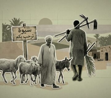 مزرعة حاجمولين في سيوة