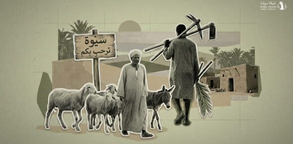 مزرعة حاجمولين في سيوة