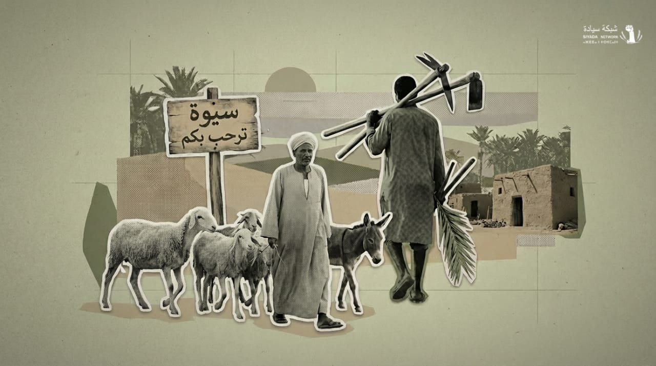 مزرعة حاجمولين في سيوة