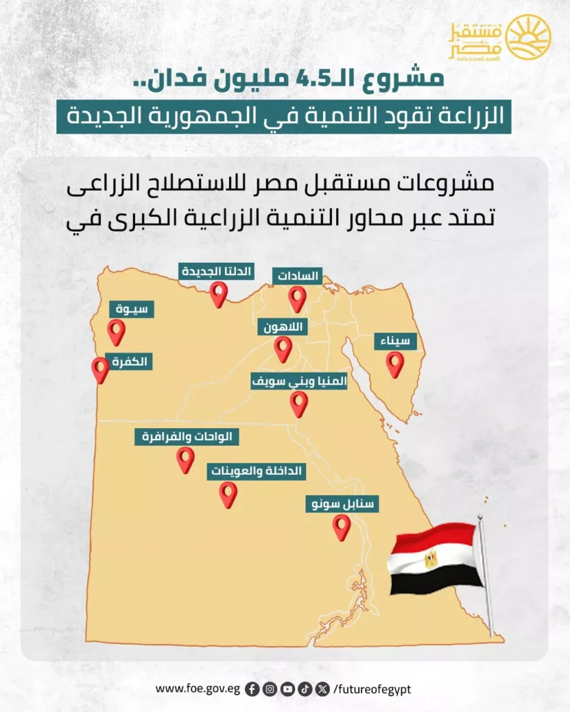 مشروعات مستقبل مصر