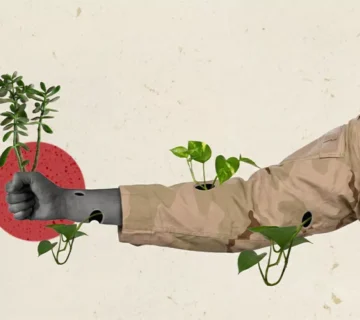 مشروعات مستقبل مصر