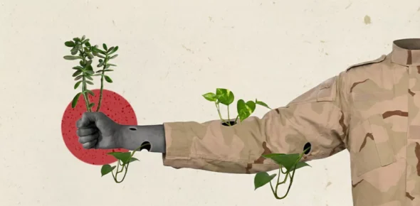 مشروعات مستقبل مصر