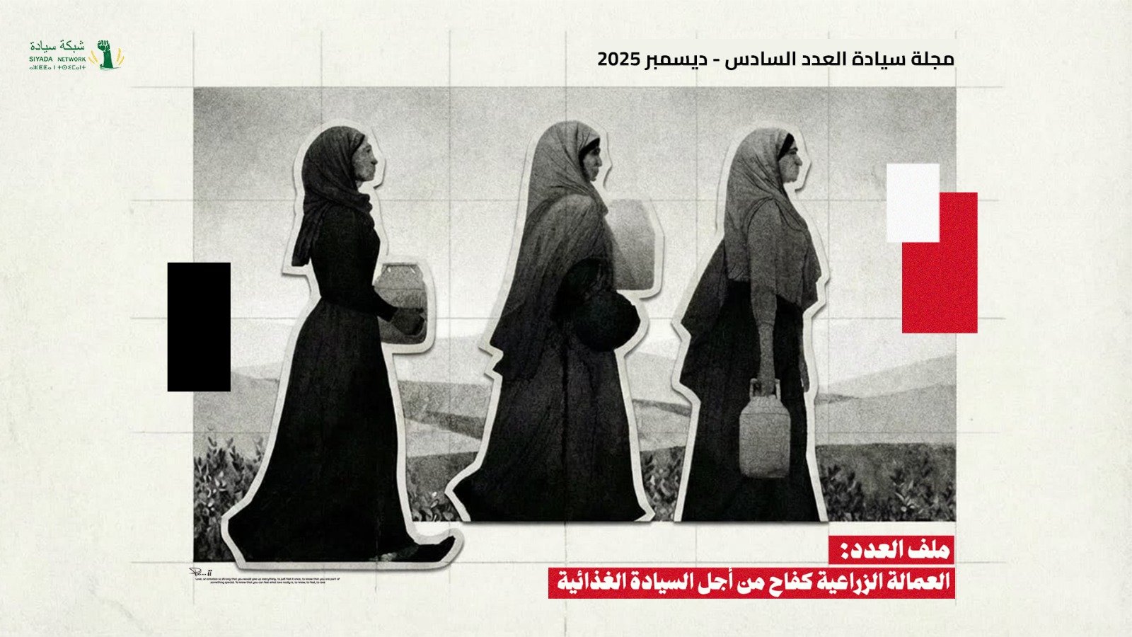 العاملات الزراعيات في مصر