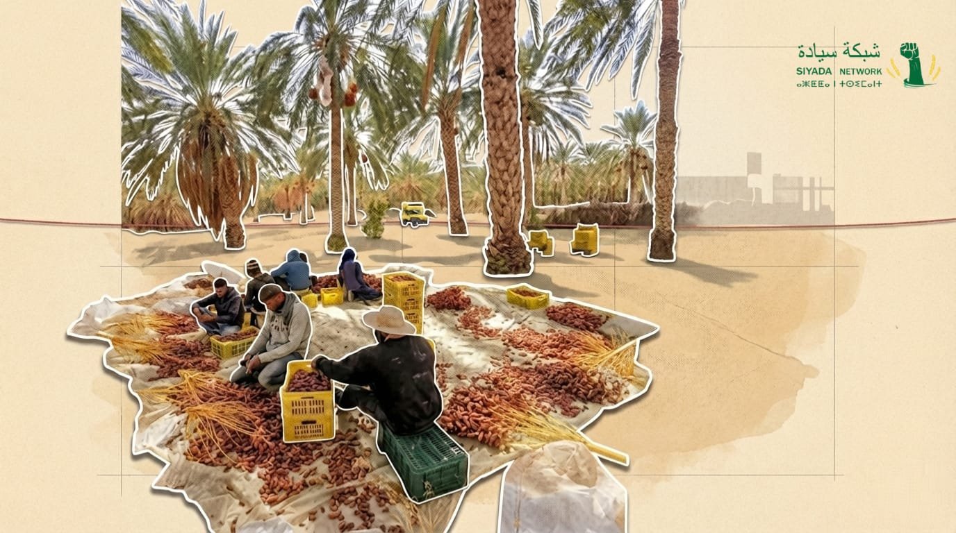 واحات جمنة بتونس