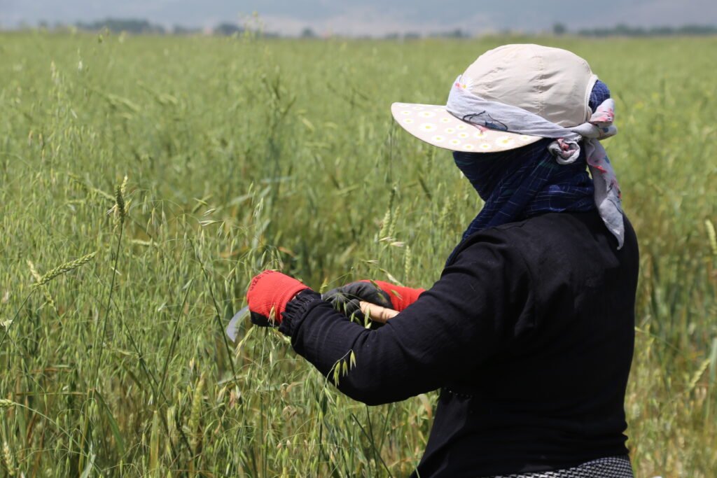 عاملة سورية لاجئة في لبنان